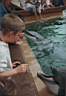 Seaworld.jpg